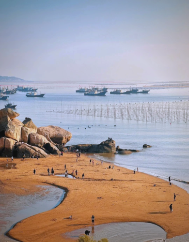 福建旅游日记：探索多样风景与美食