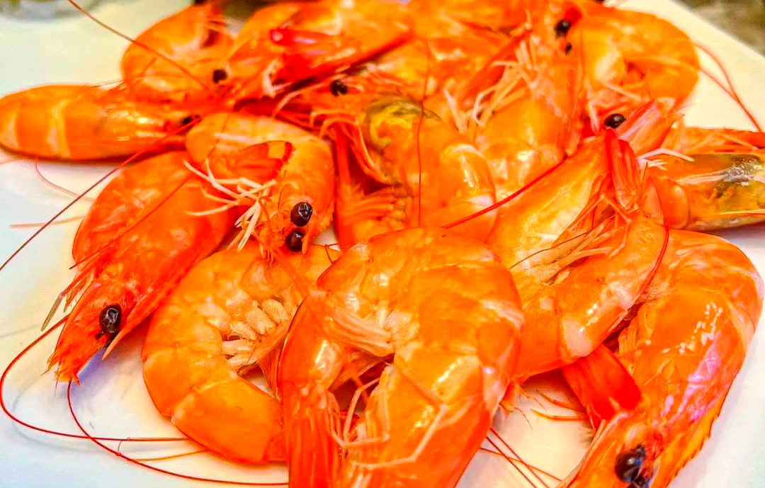 来霞浦,品味秋季海鲜盛宴,鲜味触手可及!