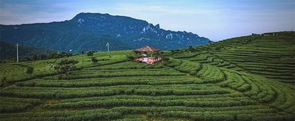 文旅部推出多条乡村旅游精品线路,宁德旅游线路榜上有名!