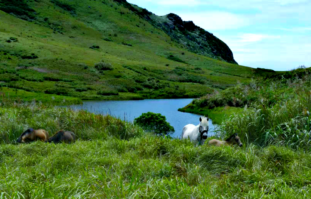 探秘霞浦:领略海滨之城的独特魅力