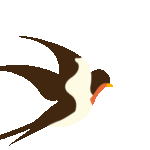 超出片！福州这些花海浪漫到心坎上啦