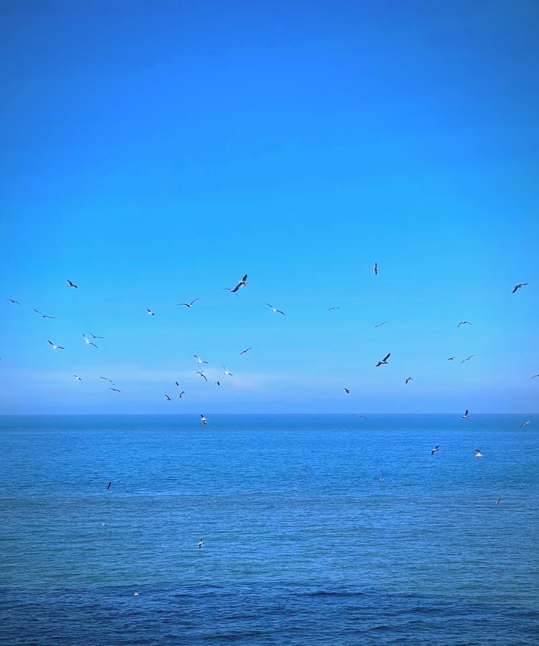 探索霞浦县的多样山峰