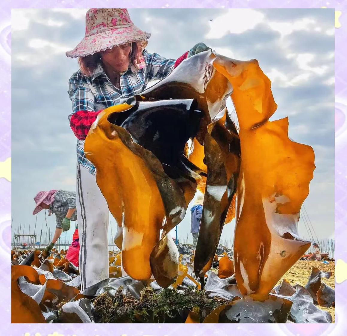 福建霞浦：摄影爱好者的天堂