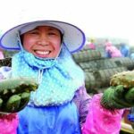 福建霞浦：海天一色绘新篇