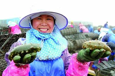 福建霞浦:海天一色绘新篇