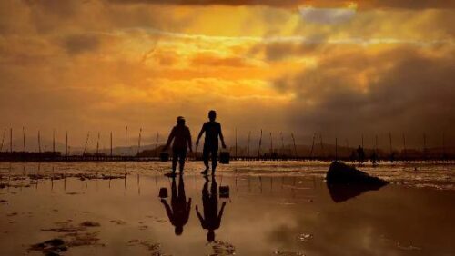 长歌凌浩渺，色色绚芳州，沉醉在“落日熔金，暮云合璧”的美景中