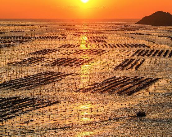 长歌凌浩渺，色色绚芳州，沉醉在“落日熔金，暮云合璧”的美景中