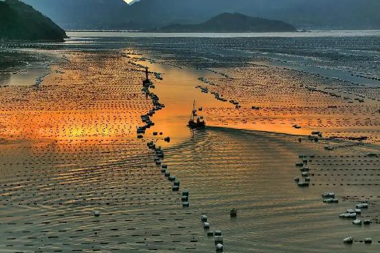 长歌凌浩渺，色色绚芳州，沉醉在“落日熔金，暮云合璧”的美景中