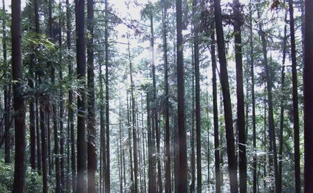 霞浦四十之最，你了解多少