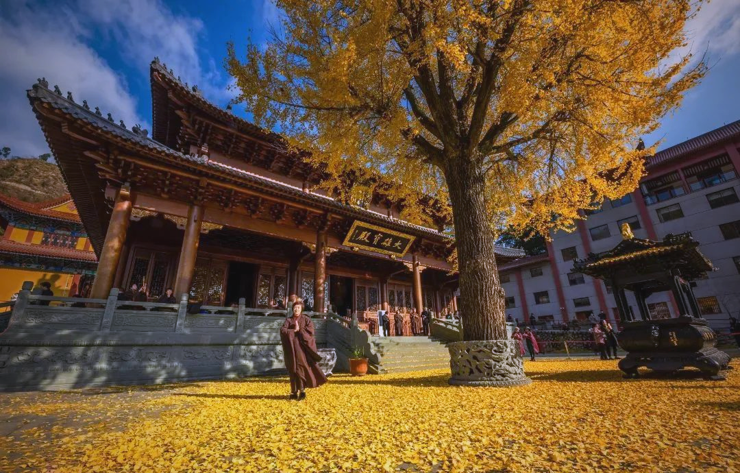 霞浦100个好玩好吃的地方，你都来过吗