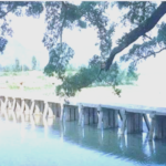 霞浦四十之最，你了解多少