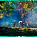 探索霞浦40个必游景点，错过可惜