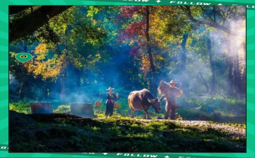 探索霞浦40个必游景点，错过可惜