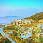 多元产业助力闽东乡村振兴，生态与经济齐头并进