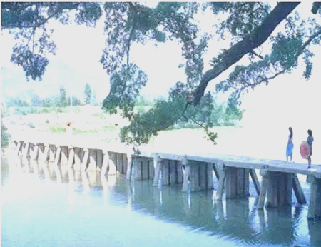 霞浦四十之最，你了解多少