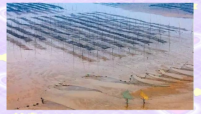 福建霞浦：摄影爱好者的天堂