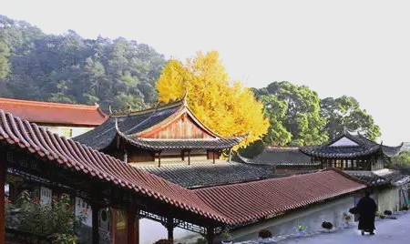 霞浦四十之最，你了解多少