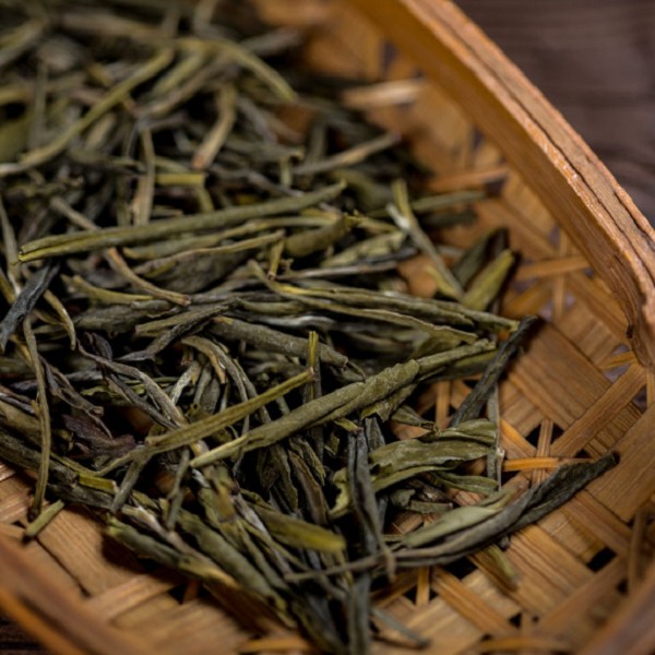 诏安苦丁茶
