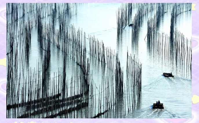 福建霞浦：摄影爱好者的天堂