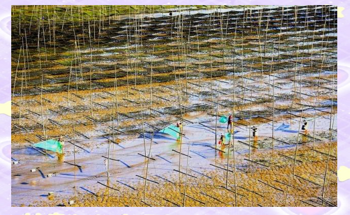 福建霞浦：摄影爱好者的天堂