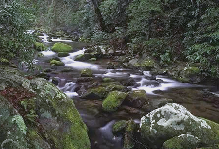 霞浦四十之最，你了解多少
