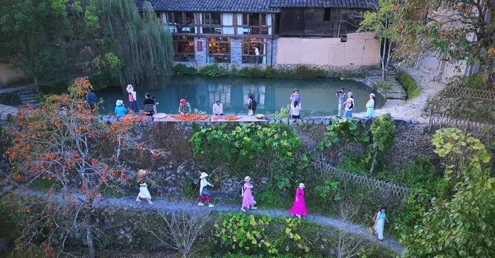 多元产业助力闽东乡村振兴，生态与经济齐头并进