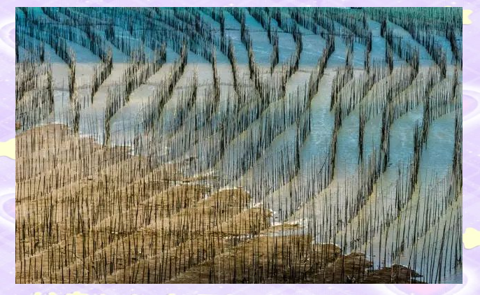 福建霞浦：摄影爱好者的天堂